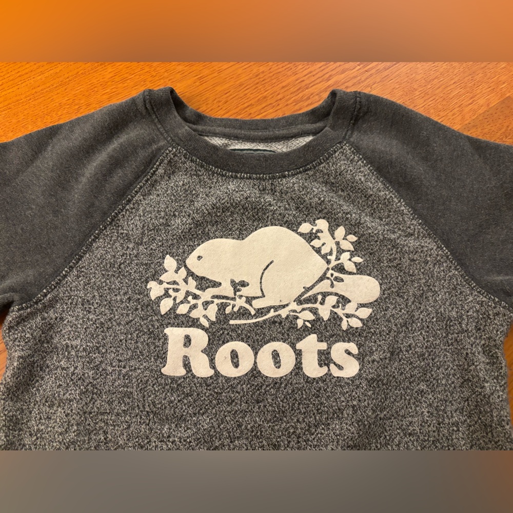 Roots kids sweatshirt 5T gray unisex